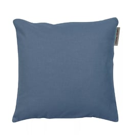Bleuet