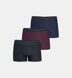 Noir bordeaux bleu