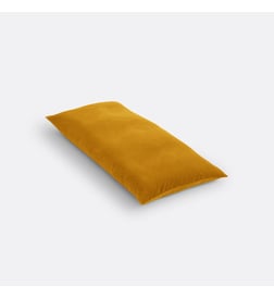 Jaune bronze
