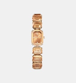 Brown et gold tone pvd