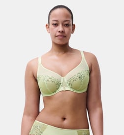Pistache sauvage