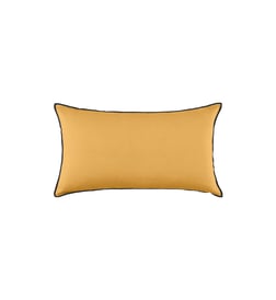 Ocre et bourdon noir