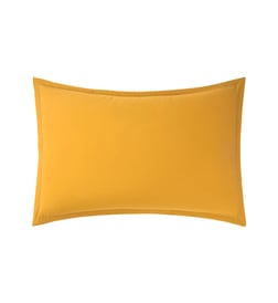 Mangue