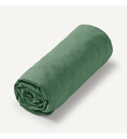 Vert épicéa
