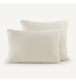 Blanc plume