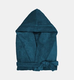 Bleu de prusse