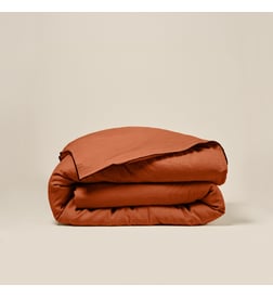 Terracotta et bourdon noir