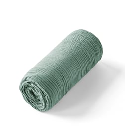 Eucalyptus