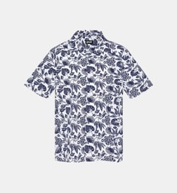 Blanc et bleu