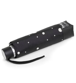 Pois noir et jaune