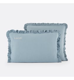 Bleu gris