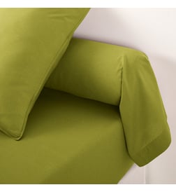 Vert olive