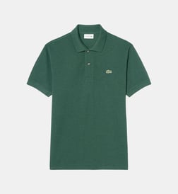 Vert foncé