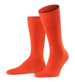 Argile rouge