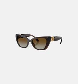 Transparent marron