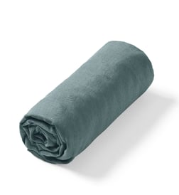 Bleu céladon