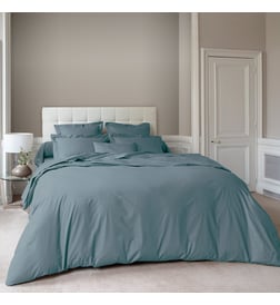 Bleu gris