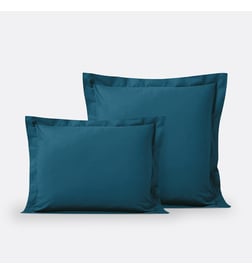 Bleu de prusse