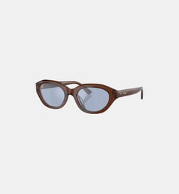 Marron transparent brillant