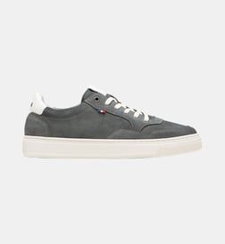 Gris