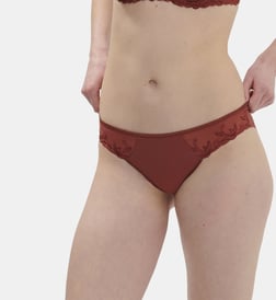Terre brûlée
