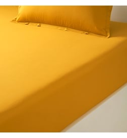 Mangue
