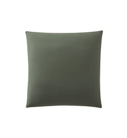Vert palme et vert aloe