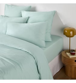 Bleu céladon