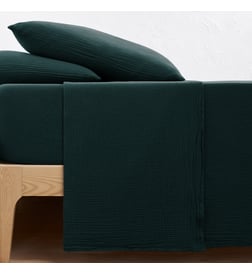 Vert foncé