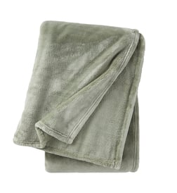 Kaki