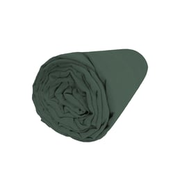 Vert cyprès