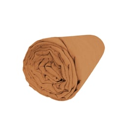 Ambre