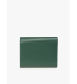 Vert houx