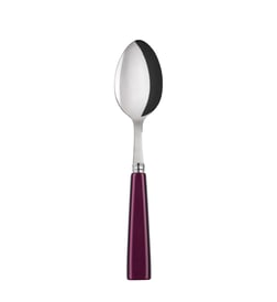 Aubergine