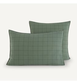 Vert forêt et gris