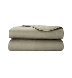 Kaki