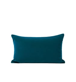 Bleu canard
