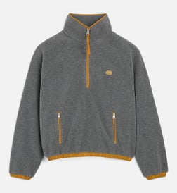 Gris cendre