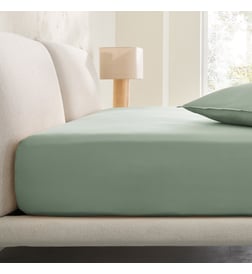 Eucalyptus