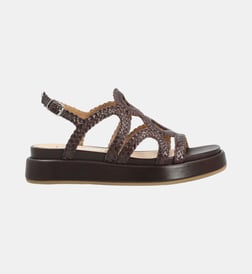 Marron foncé