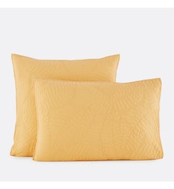 Citron