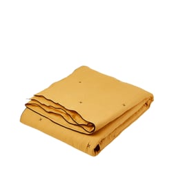 Ocre et bourdon noir