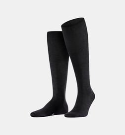 Noir basic
