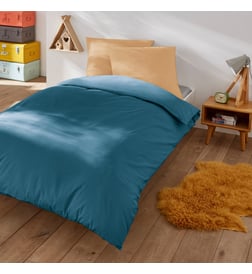 Bleu de prusse