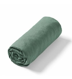 Eucalyptus