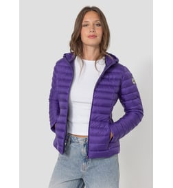 Iris violet
