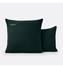 Vert foncé