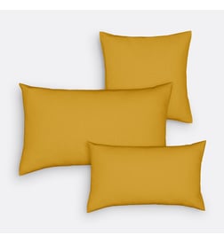 Jaune ocre