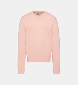 Rose pâle