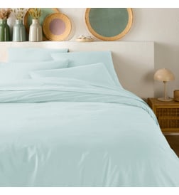 Bleu céladon